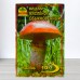 Мицелий гриба Масленок обыкновенный, 10г